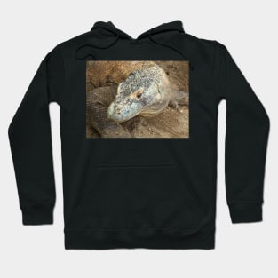 Komodo Dragon Hoodie